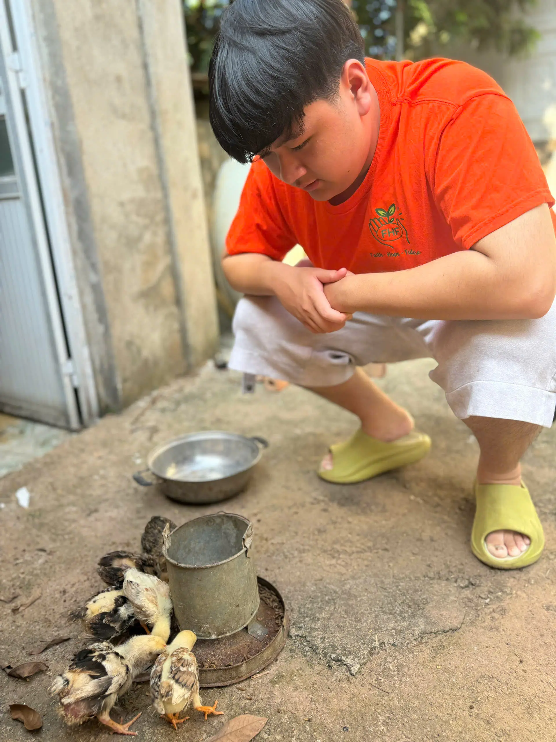 Give chicken - Send trust