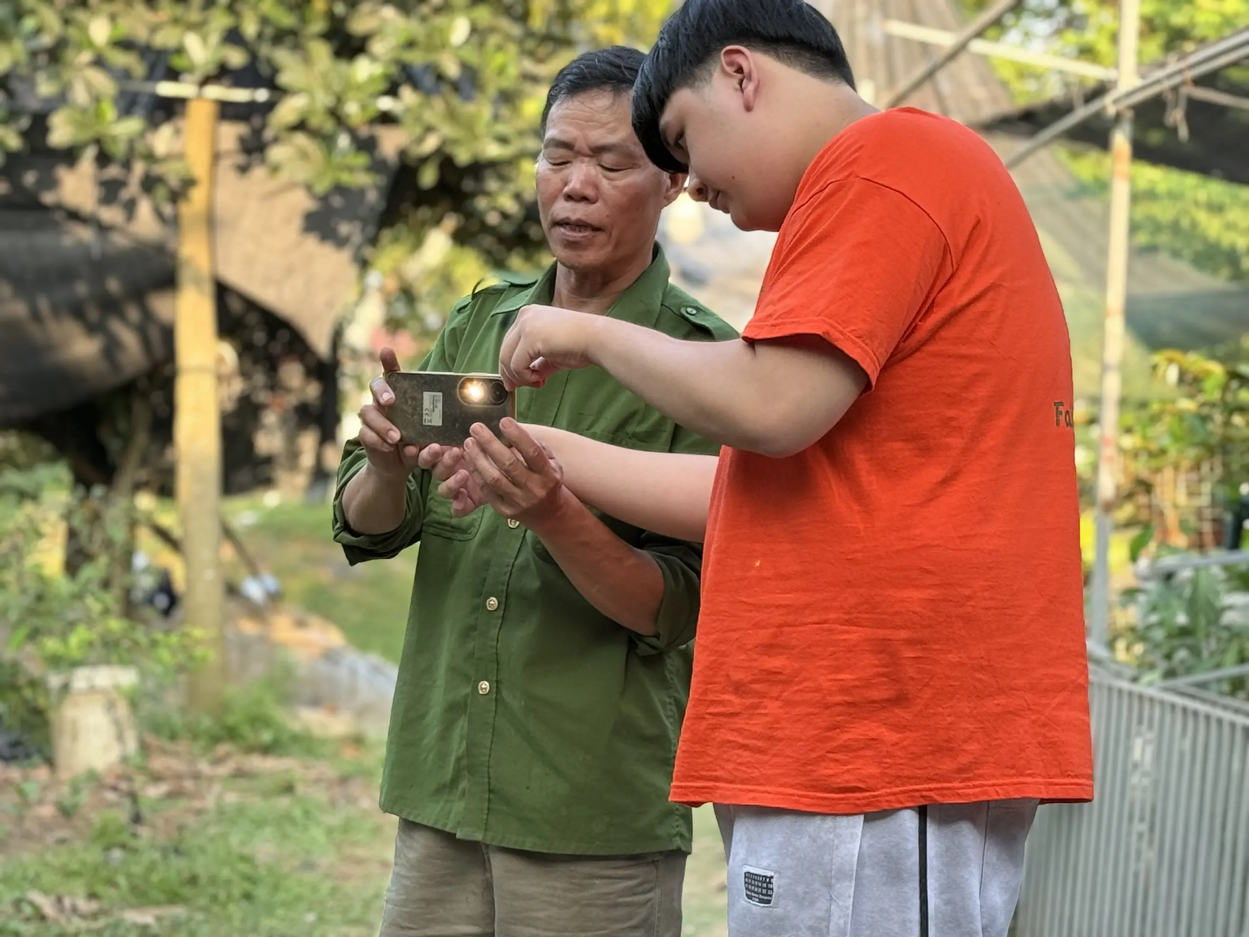 Give chicken - Send trust