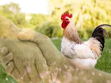 Sow hope - Reap faith